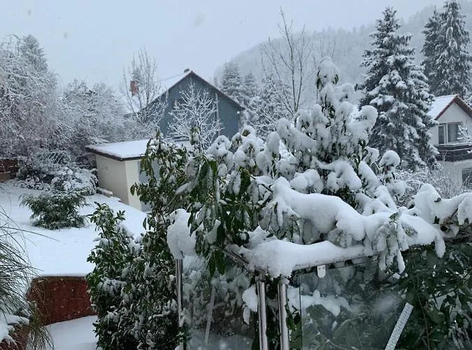 Sonnenterrasse Lägenhet